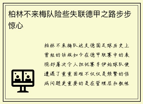 柏林不来梅队险些失联德甲之路步步惊心